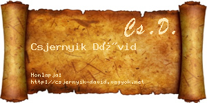 Csjernyik Dávid névjegykártya