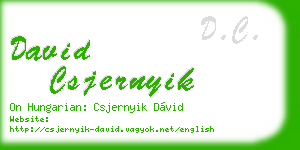 david csjernyik business card